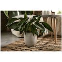 Vorschaubild Vosteen Design Blumentopf / Pflanzgefäß Terrakotta weiß ø 20 cm x H 22 cm