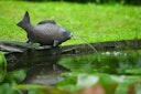 Vorschaubild Ubbink Wasserspeier Fisch XL
