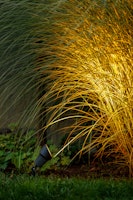Garden Lights Strahler Focus