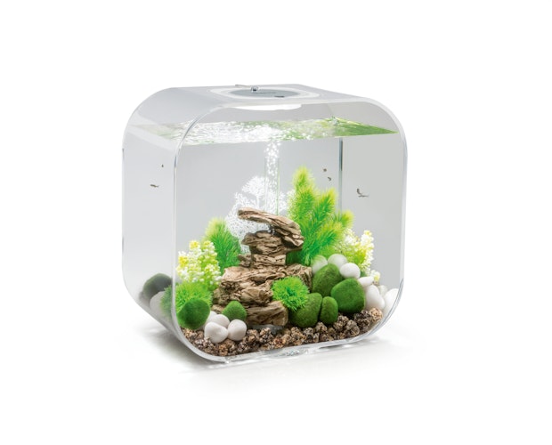 BiOrb Aquarium LIFE 30 MCR