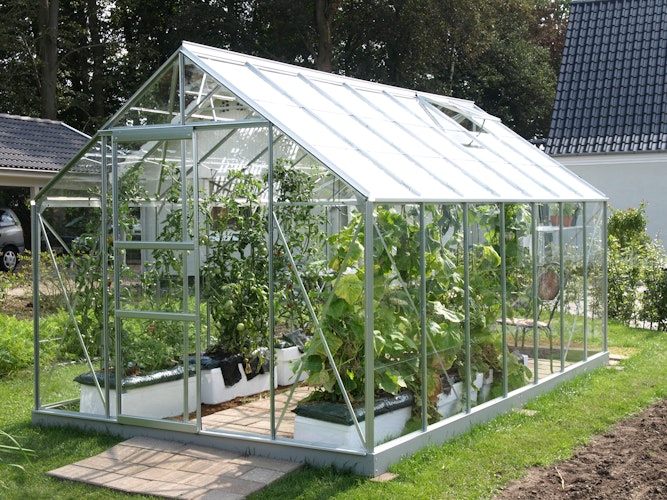 Vitavia Gewächshaus Merkur 9900 inkl. 2 Dachfenstern - 9,9 m²