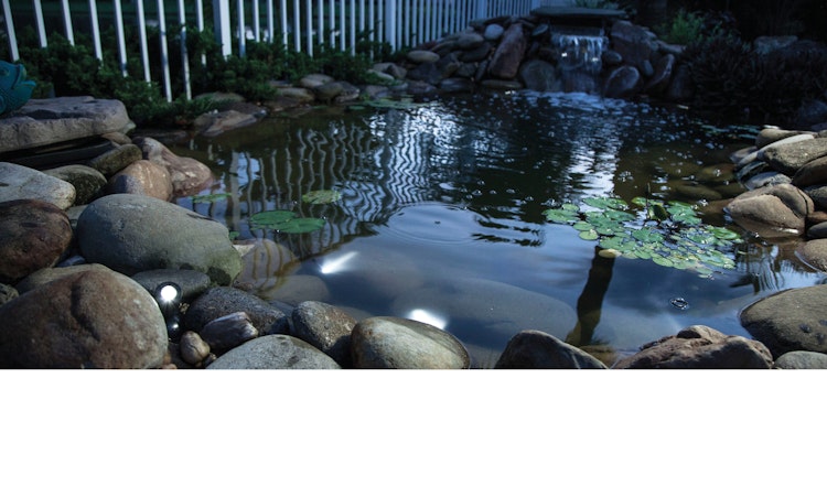 Pontec Teich- und Gartenbeleuchtung PondoStar LED Set 6