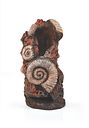 Vorschaubild biOrb Muschelbaumstumpf Ornament