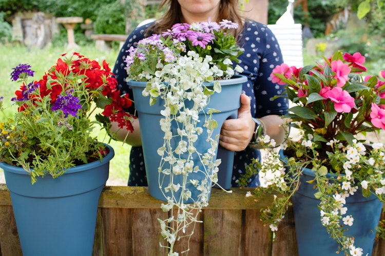 KHW Flowerclip, 3er Set