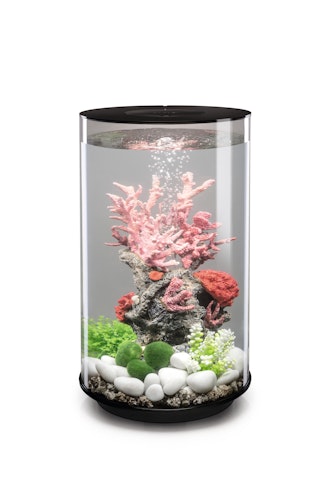 BiOrb Aquarium TUBE 30 MCR
