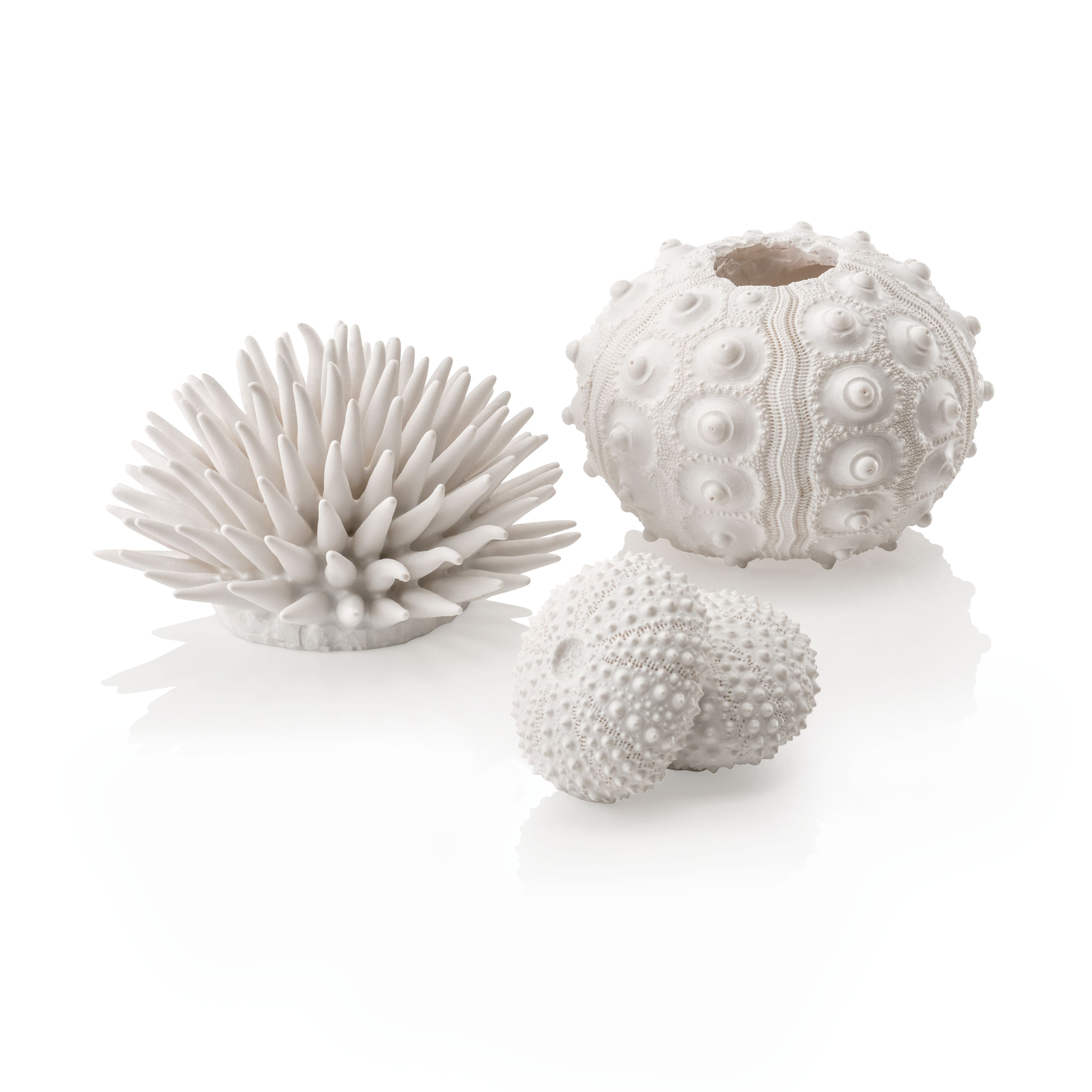 biOrb Seeigel Set weiß (48364)