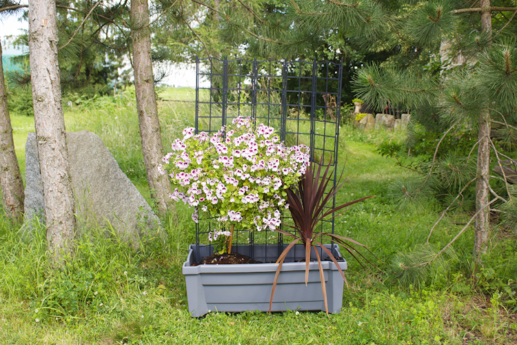 KHW Calypso Pflanzkasten auf Rollen mit Bewässerungssystem + modularem Spalier
