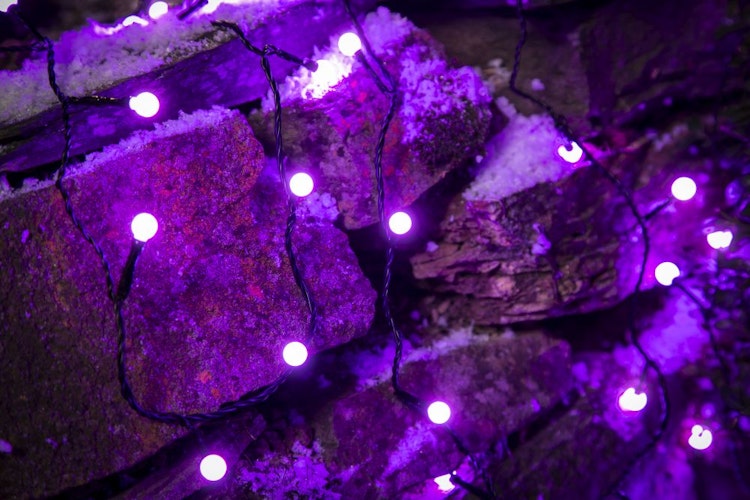 Konstsmide Weihnachtsbeleuchtung  LED Lichterkette 80 purpurfarene runde Dioden