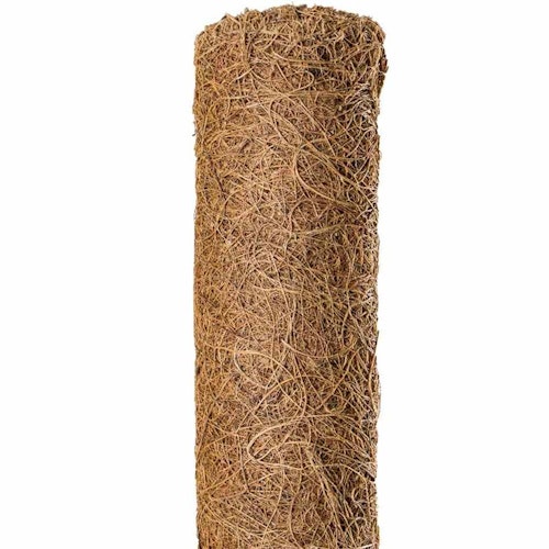 Noor Kokos-Rankstab verlängerbar - Verschieden Größen