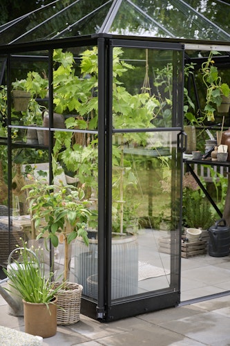 Halls Gewächshaus Qube Square - 6,3 m²