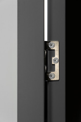 Globel Zusatzschwingtür 176x66 cm, anthrazit, für Skillion, Lean To, Dream