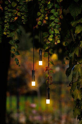 Lightpro Dekorationsleuchte Lichterkette Rodas 12V