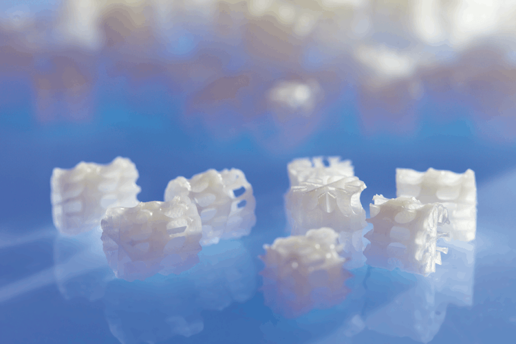 Oase ProfiClear Premium Moving Bed Modul L