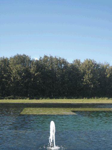 Oase Schaumsprudler 35 - 10 E