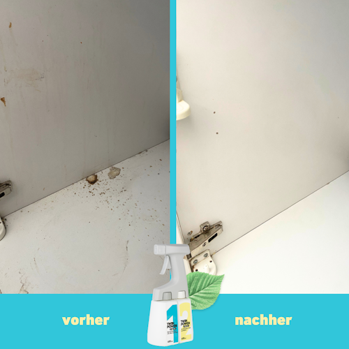 Twin Power Intensiv-Set 2 x 0,4L + Sprüher + Handschuhe + Bürste