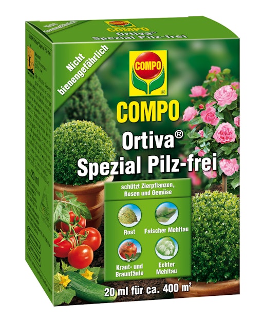 blumenwiese saatgut kostenlos Wildblumenwiese Saatgut 100g – Vom Reiter