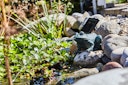 Vorschaubild Heissner Teichfigur "Frosch" mit Teichpumpe 250 l/h, Solar