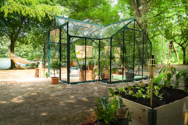 Vitavia Gewächshaus Sirona/Sirius Orangerie inkl. 4 Dachfenstern - 13,0 m²