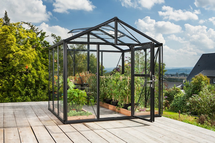 Vitavia Gewächshaus Zeus 6200 inkl. 2 Dachfenstern - 6,2 m²