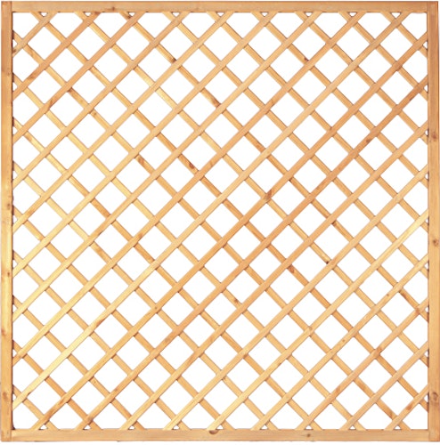 T&J DIAGONAL Rankzaun 10 x 10 / 180 x 180 cm