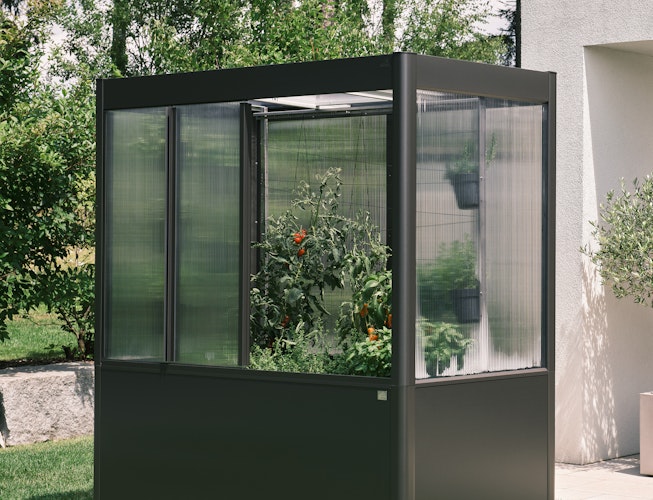 Biohort Rankhilfe für Gewächshaus Florentina