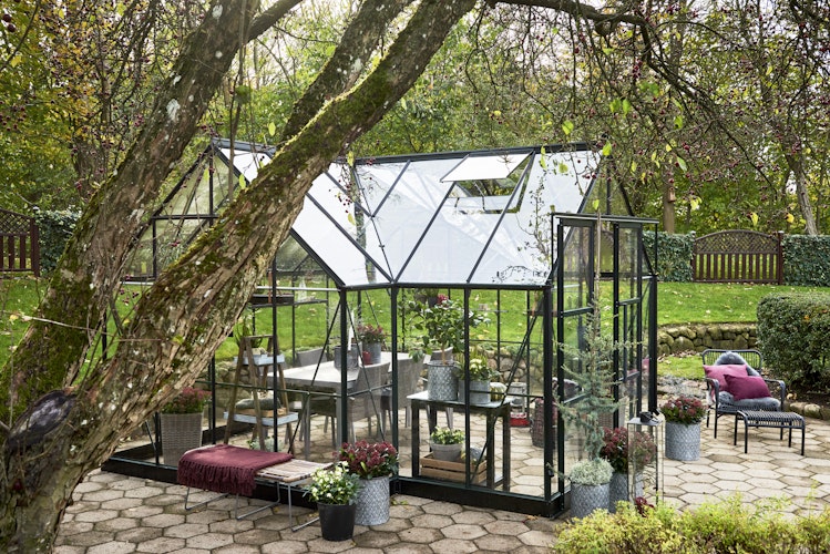 Halls Gewächshaus Garden Room SET inklusive Fundamantrahmen- 12,9 m²