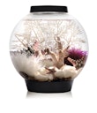 Vorschaubild BiOrb Aquarium CLASSIC 15 LED