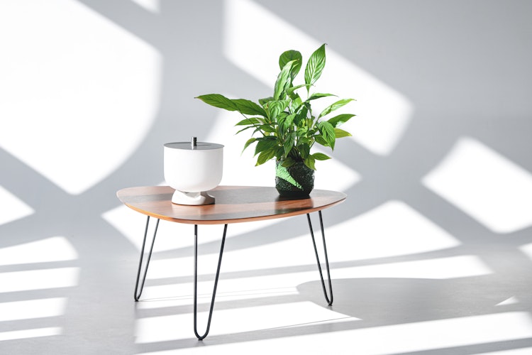 QFlame Feuerschale Set Table Concrete Ø 20 cm