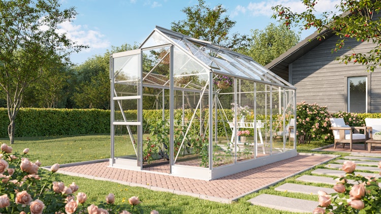 Vitavia Gewächshaus Eris 6200 inkl. 1 Dachfenster, Regenrinnen, Stahlfundamentrahmen - 6,2 m²