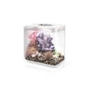 Vorschaubild BiOrb Aquarium FLOW 15 LED