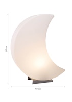 8 seasons design Solar LED-Dekoleuchte Shining Moon 60 cm