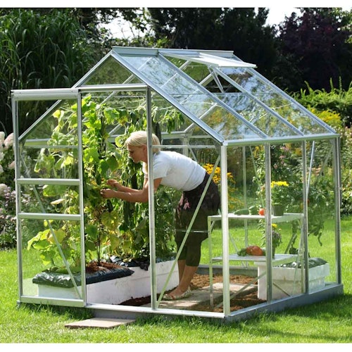 Vitavia Gewächshaus Venus 3800 inkl. 1 Dachfenster - 3,8 m²