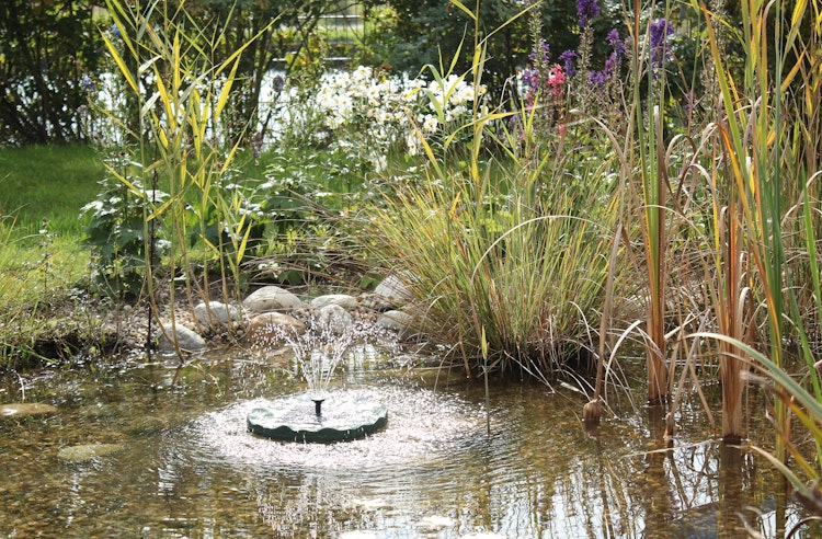 Pontec Solar-Fontäne PondoSolar Lily Island