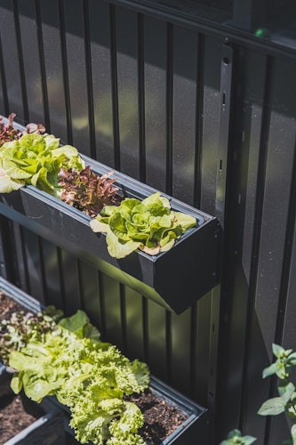 Biohort FloraBoard Blumenkasten für Avantgarde, Highline, Panorama (Set mit 2 Blumenkästen)