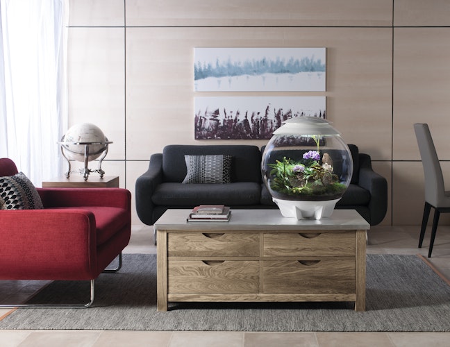 BiOrb Terrarium AIR 60