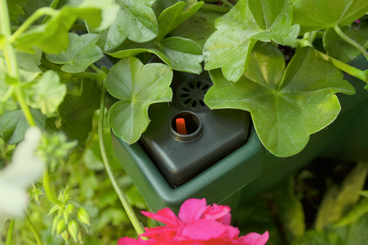 KHW Calypso Pflanzkasten auf Rollen mit Bewässerungssystem + Spalier