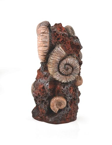 biOrb Muschelbaumstumpf Ornament