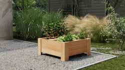 Ante Pflanzgefäß B95 x T92 x H45 cm