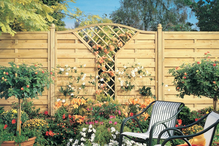 TraumGarten Clematis Rankgitter 89x178 cm