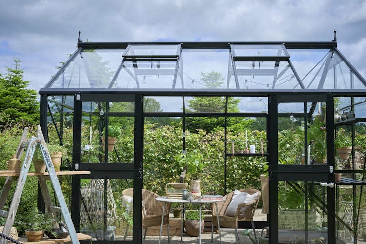 Juliana Gewächshaus Jubii 10,9 m² inkl. gratis Fundamentrahmen im Wert von 449 €