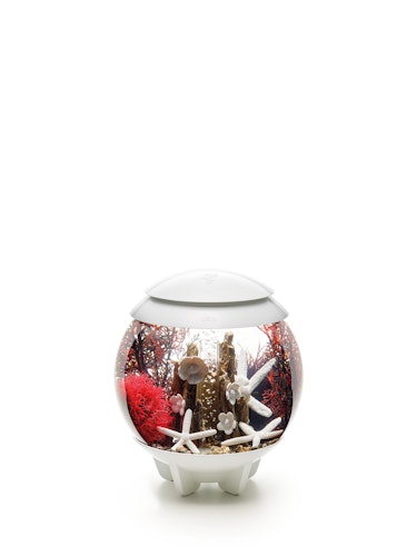 biOrb Decor Set 15L Red Forest (48442)
