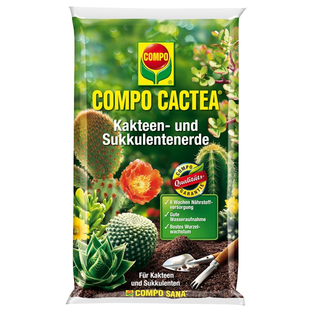 heimische blumenwiese saatgut 100 g BIO Wildblumen-Saatgut main image 1