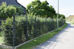 dz Doppelstabmatte MORITZ 6/5/6 feuerverzinkt / pulverbeschichtetZubehörbild