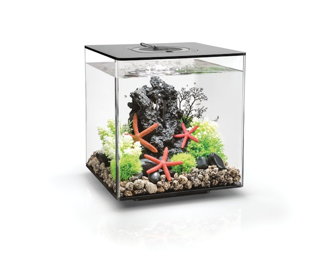 BiOrb Aquarium CUBE 30 MCR