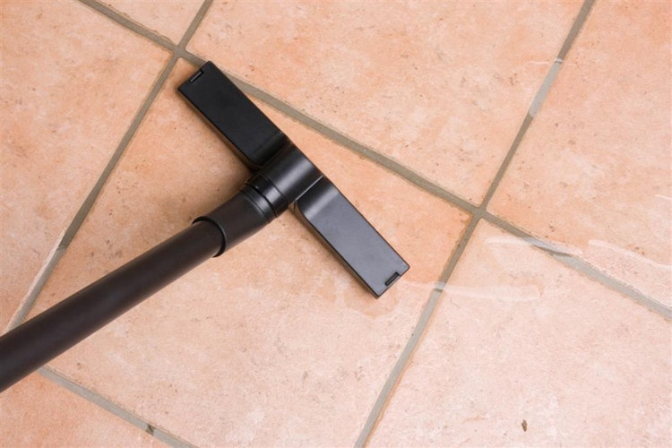 Ubbink Teichsauger VacuProCleaner Maxi