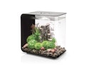 Vorschaubild BiOrb Aquarium FLOW 30 LED