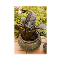 Vosteen Design Blumentopf / Pflanzgefäß Terrakotta grün ø 40 cm x H 27 cm