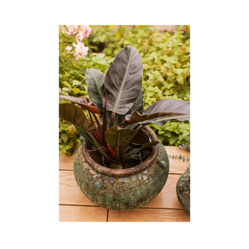 Vosteen Design Blumentopf / Pflanzgefäß Terrakotta grün 2er Set ø 23 cm x H 16 cm, 40 cm x H 27 cm