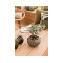 Vorschaubild Vosteen Design Blumentopf / Pflanzgefäß Terrakotta grün ø 23 cm x H 16 cm