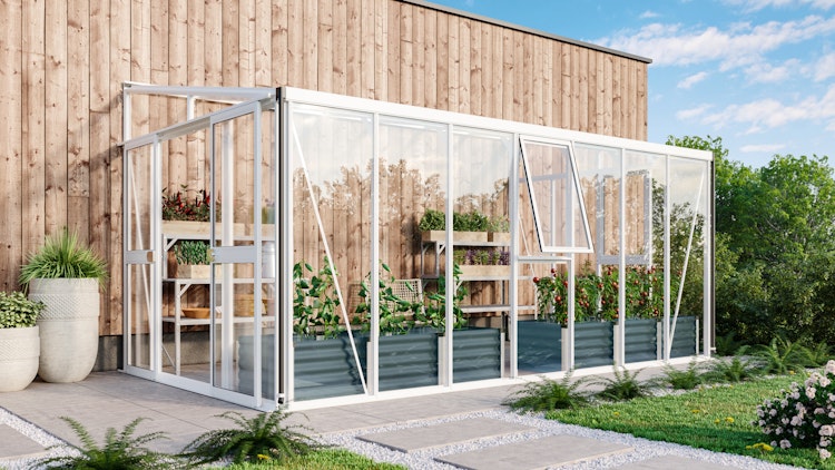 Vitavia Gewächshaus Helena 11900 inkl. 2 Seitenfenstern - 11,8 m²